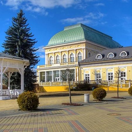 Penzion U Modreho Slona Františkovy Lázně 外观 照片