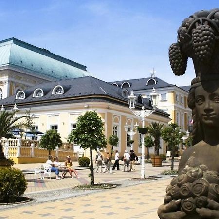 Penzion U Modreho Slona Františkovy Lázně 外观 照片
