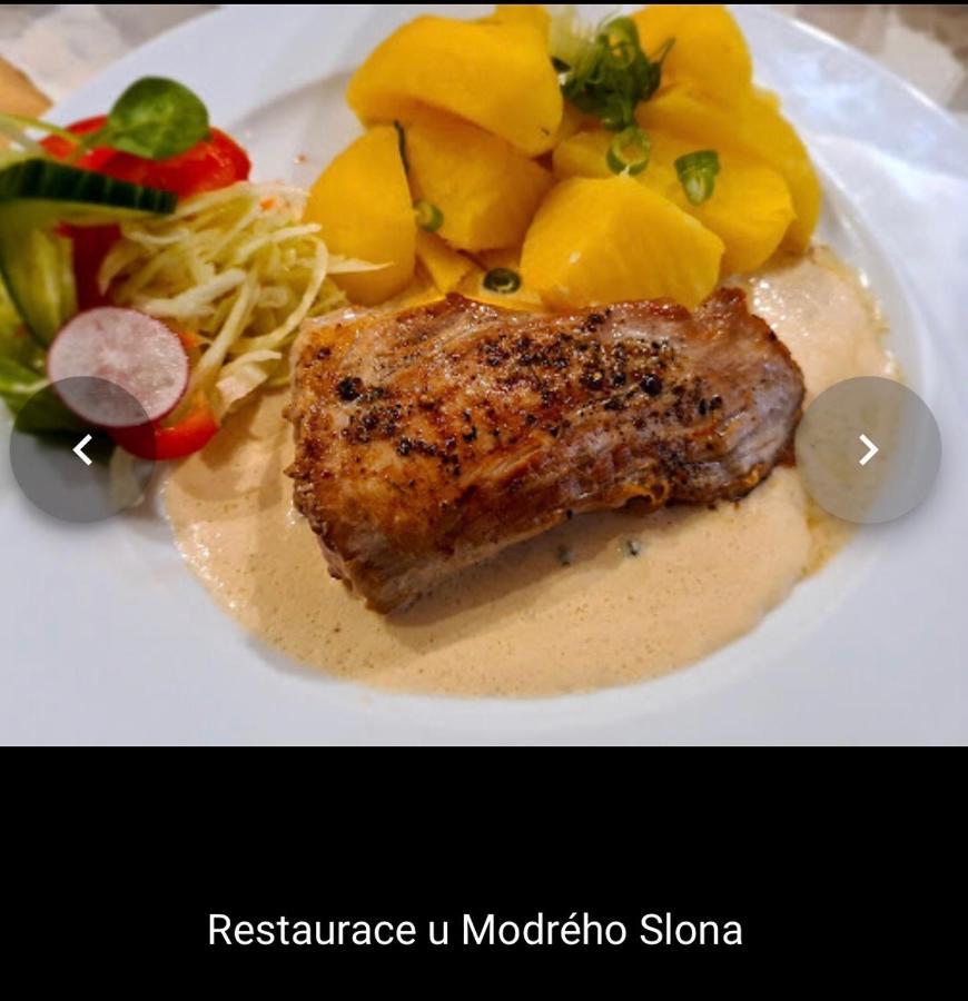 Penzion U Modreho Slona Františkovy Lázně 外观 照片